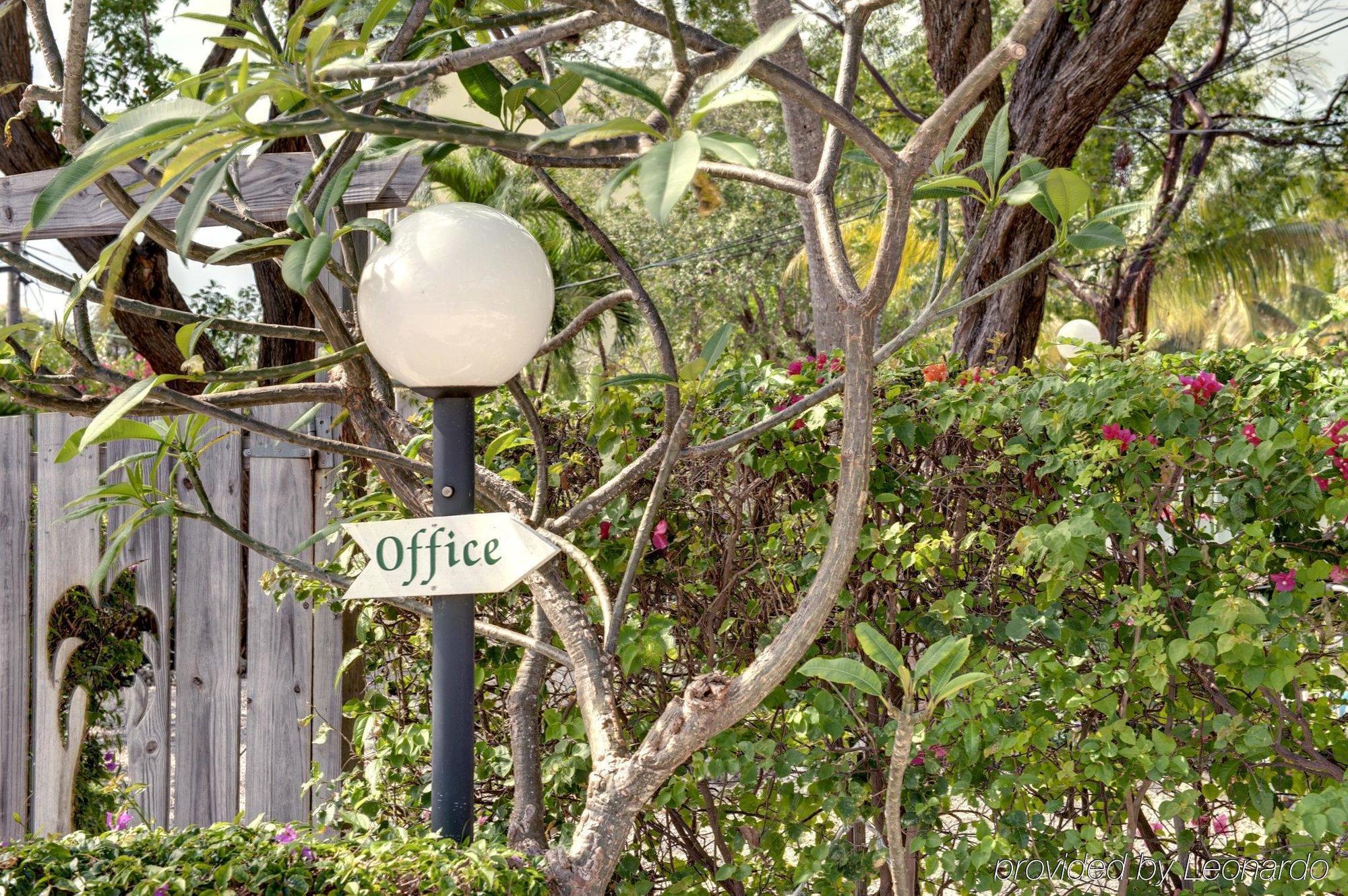 Coconut Palm Inn Tavernier Ngoại thất bức ảnh